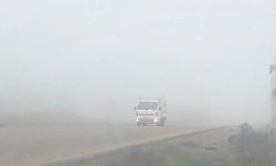 الأنواء الجوية: ضباب وانخفاض طفيف في الحرارة خلال الأيام المقبلة